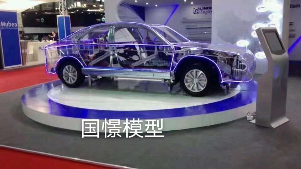 聂拉木县透明车模型